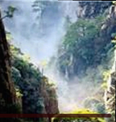 陈锋